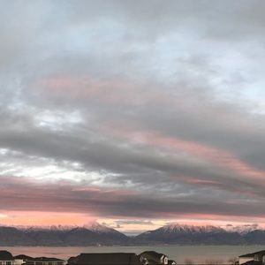 Meet your Posher, Gracie